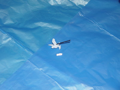 regatta 2.runde 017.jpg (160.23 KiB) 1302 mal betrachtet regatta 2.runde 017.jpg