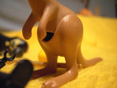 ARegattaForum208.jpg (69.07 KiB) 794 mal betrachtet ARegattaForum208.jpg