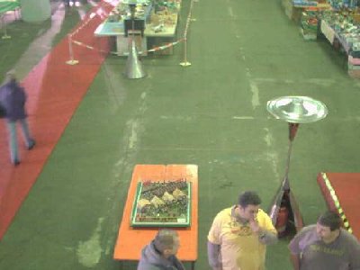 halle3.jpg (21.18 KiB) 2157 mal betrachtet halle3.jpg