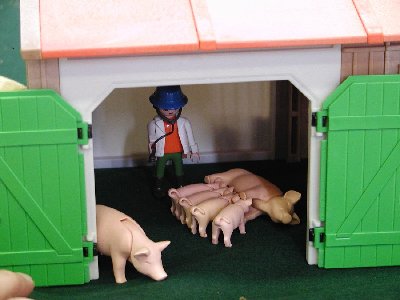 Bauernhof Tierarzt bei Schweinen.jpg