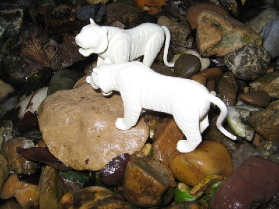 03_Schneetiger.jpg (72.79 KiB) 1247 mal betrachtet 03_Schneetiger.jpg