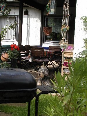 Playmoday-Selbstbedienungszone.jpg (132.75 KiB) 1357 mal betrachtet Hier entsteht die Selbstbedienungszone