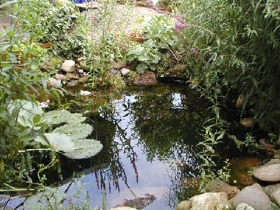 Playmoday-Monstersee.jpg (186.59 KiB) 1353 mal betrachtet Hier werden unsere "Monster" schwimmen