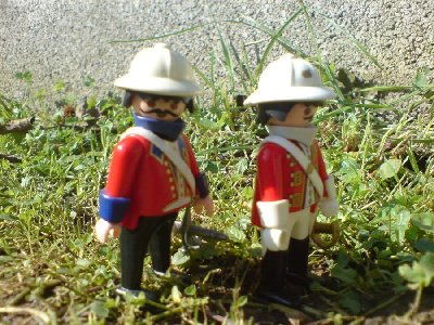 DSC00910.JPG (161.73 KiB) 885 mal betrachtet DSC00910.JPG