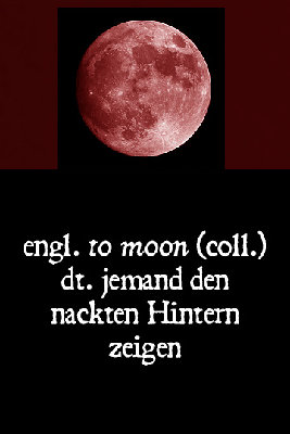 regatta.33.jpg (43.05 KiB) 2530 mal betrachtet regatta.33.jpg