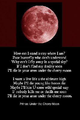 regatta.34.jpg (61.35 KiB) 2535 mal betrachtet regatta.34.jpg