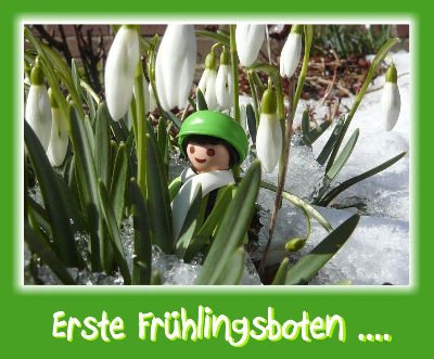 Schneeglockchen.jpg (115.9 KiB) 30215 mal betrachtet Schneeglockchen.jpg