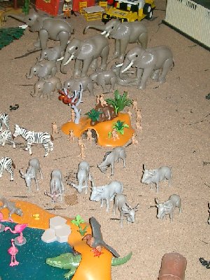 CIMG5380.JPG (177.38 KiB) 1000 mal betrachtet CIMG5380.JPG