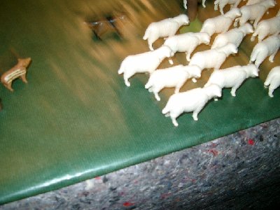 CIMG5399.JPG (175.01 KiB) 1073 mal betrachtet CIMG5399.JPG