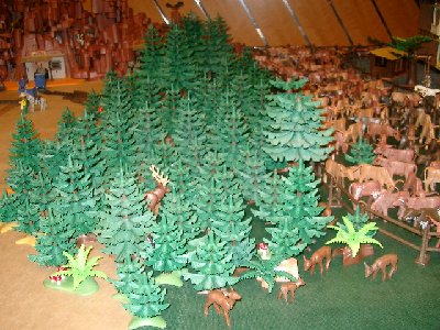 CIMG5410.JPG (178.59 KiB) 1086 mal betrachtet CIMG5410.JPG