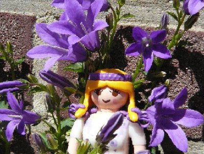 Bluetenfee4.jpg (140.57 KiB) 31266 mal betrachtet Bluetenfee4.jpg