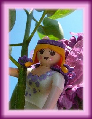 Bluetenfee.jpg (84.21 KiB) 30222 mal betrachtet Bluetenfee.jpg