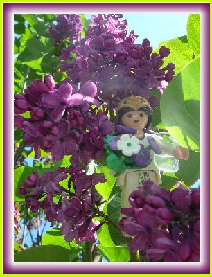 Bluetenfee2.jpg (157.24 KiB) 31459 mal betrachtet Bluetenfee2.jpg