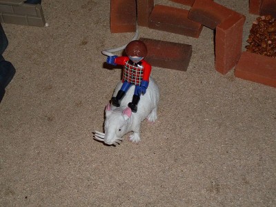 z20.jpg (144.4 KiB) 614 mal betrachtet z20.jpg