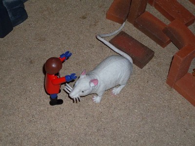 z19.jpg (144.74 KiB) 571 mal betrachtet z19.jpg