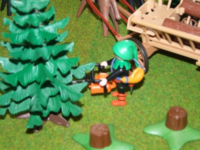 DSCF8613.JPG (124.87 KiB) 2271 mal betrachtet DSCF8613.JPG