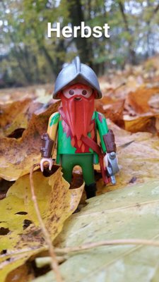 Herbst.jpg (61.65 KiB) 3277 mal betrachtet Herbst.jpg