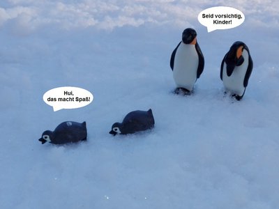 Pinguine-3b.jpg