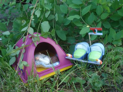 xAÖ 04 - Mai 2017.jpg (193.84 KiB) 3160 mal betrachtet xAÖ 04 - Mai 2017.jpg