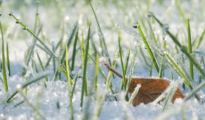 vergaenglichkeit.jpg (173.65 KiB) 1739 mal betrachtet vergaenglichkeit.jpg