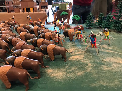 IMG_3821.jpg (294.96 KiB) 2458 mal betrachtet IMG_3821.jpg