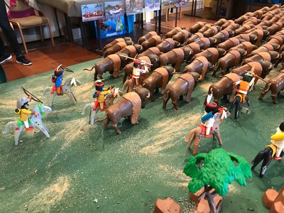 IMG_3827.jpg (326.95 KiB) 2458 mal betrachtet IMG_3827.jpg