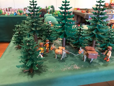 IMG_3832.jpg (251.53 KiB) 2456 mal betrachtet IMG_3832.jpg