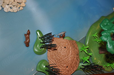 DSC_0926.jpg (280.06 KiB) 2479 mal betrachtet DSC_0926.jpg