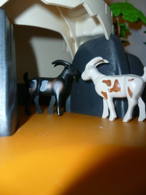 P1070002.JPG (162.78 KiB) 1157 mal betrachtet P1070002.JPG