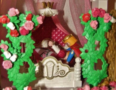 Dornröschen 12.JPG (114.67 KiB) 24026 mal betrachtet Dornröschen 12.JPG