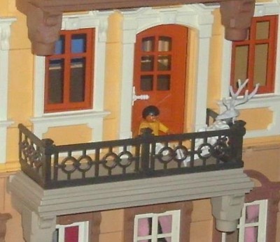 3_Mimi und der Antler auf dem Balkon.JPG
