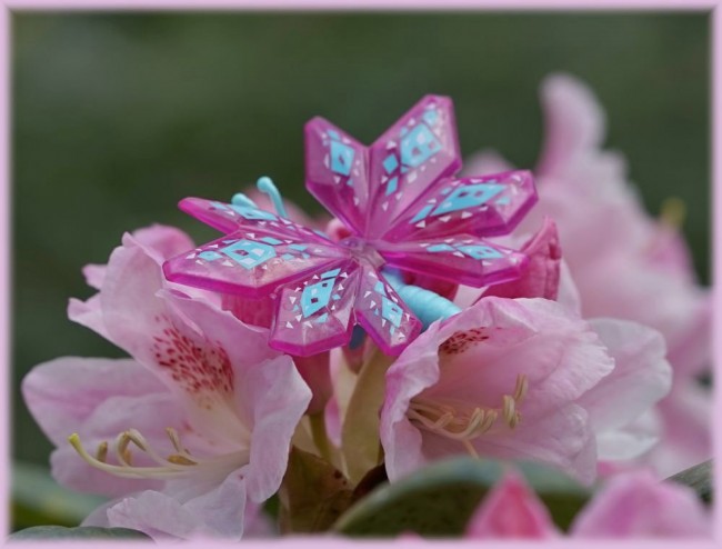 Rhododendron0.jpg
