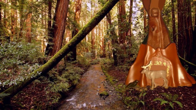 Bild 5 Redwood National Park mit Zapfensammlung.jpg
