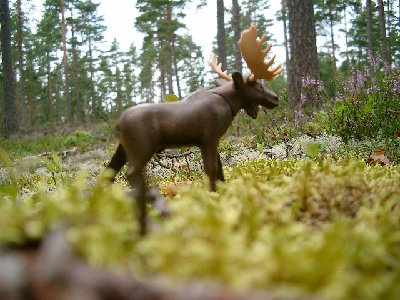 Bild 018.jpg (172.36 KiB) 2087 mal betrachtet Bild 018.jpg