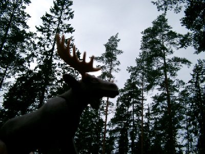 Bild 016.jpg (176.29 KiB) 2088 mal betrachtet Bild 016.jpg