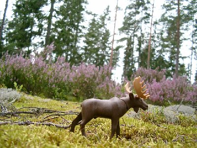 Bild 014.jpg (179.46 KiB) 2087 mal betrachtet Bild 014.jpg