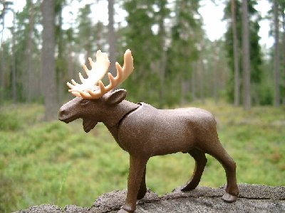 Bild 012.jpg (169.76 KiB) 2086 mal betrachtet Bild 012.jpg