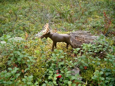 Bild 007.jpg (187.17 KiB) 2086 mal betrachtet Bild 007.jpg