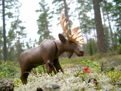 Bild 020.jpg (173.46 KiB) 2086 mal betrachtet Bild 020.jpg