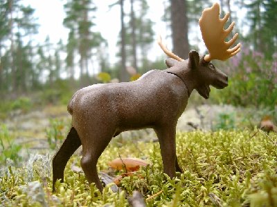 Bild 019.jpg (173.01 KiB) 2088 mal betrachtet Bild 019.jpg