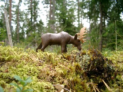 Bild 021.jpg (179.35 KiB) 2088 mal betrachtet Bild 021.jpg