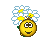 Blume :blume