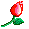 Rose :rose